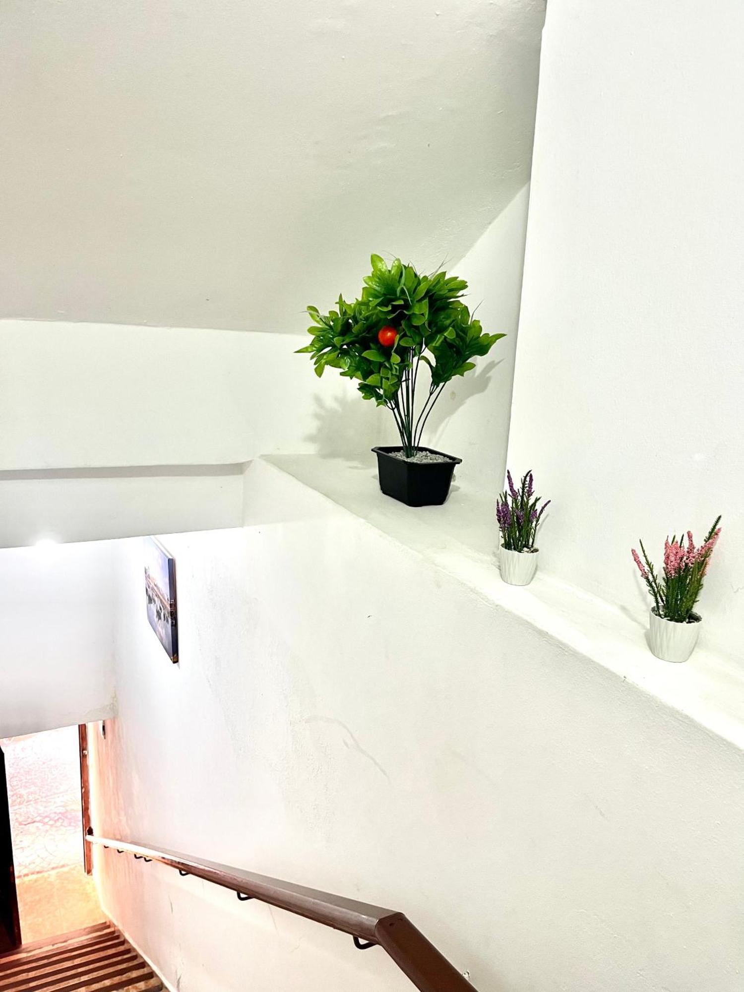 Soleado Apartamento Al Lado De La Preciosa Medina , A 3 Minutos De La Playa Andando II Apartment Asilah Luaran gambar